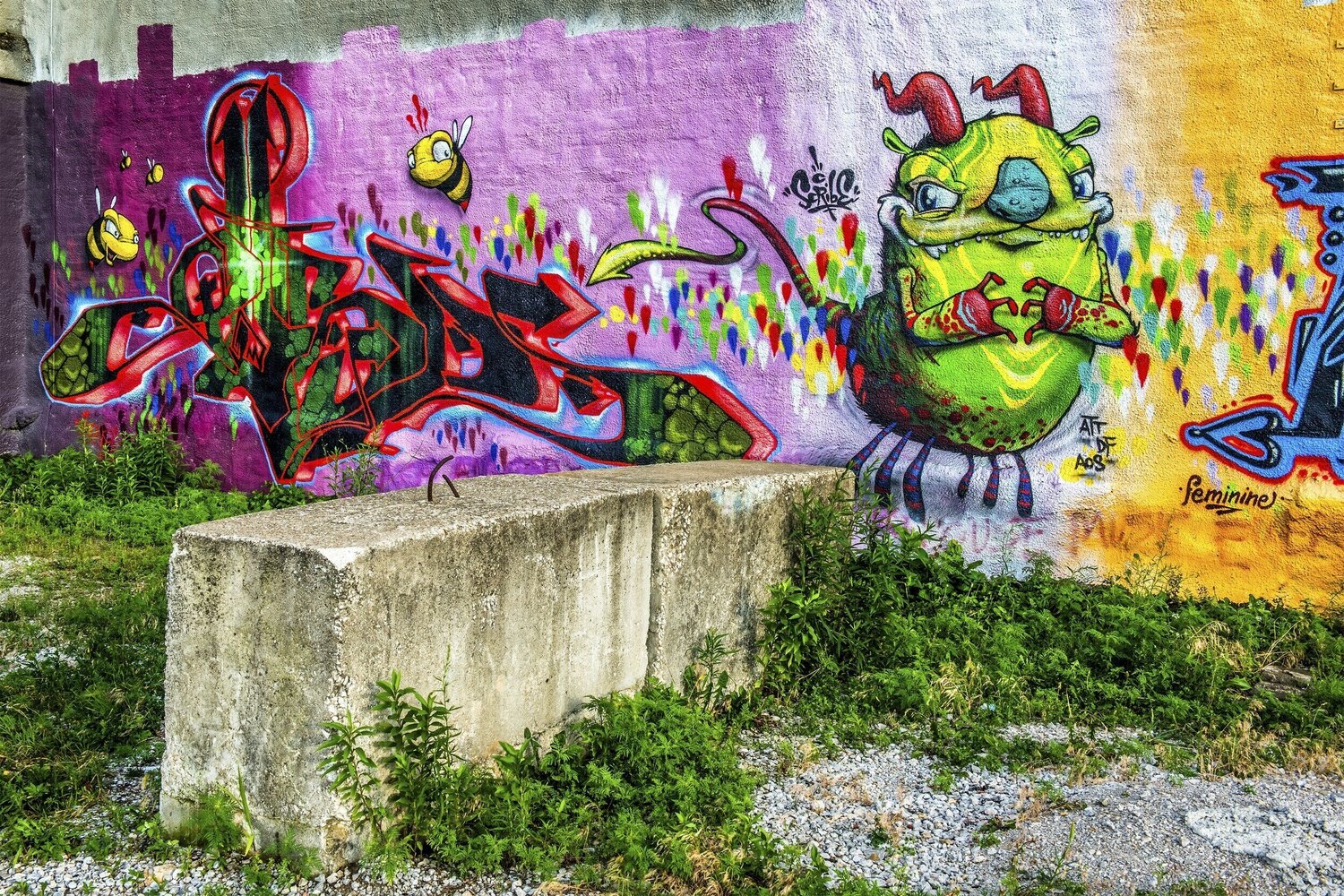 Scribe Caterpillar Jack Hayhow Fotografia in vendita