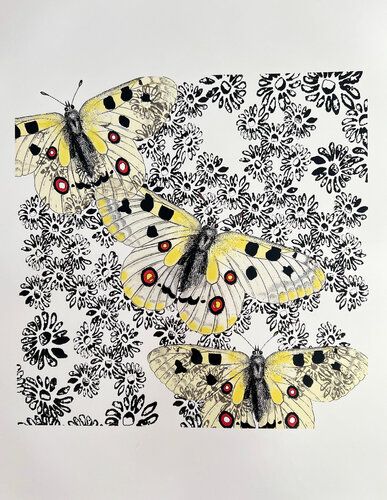 Butterflies and Daisies by Louise Marler, Print for Sale on Singulart