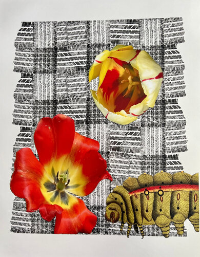 Tire Plaid Caterpillar van Louise Marler, Afdruk te koop op Singulart