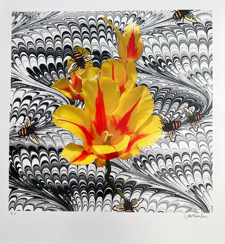 Tulip and Bees Louise Marler