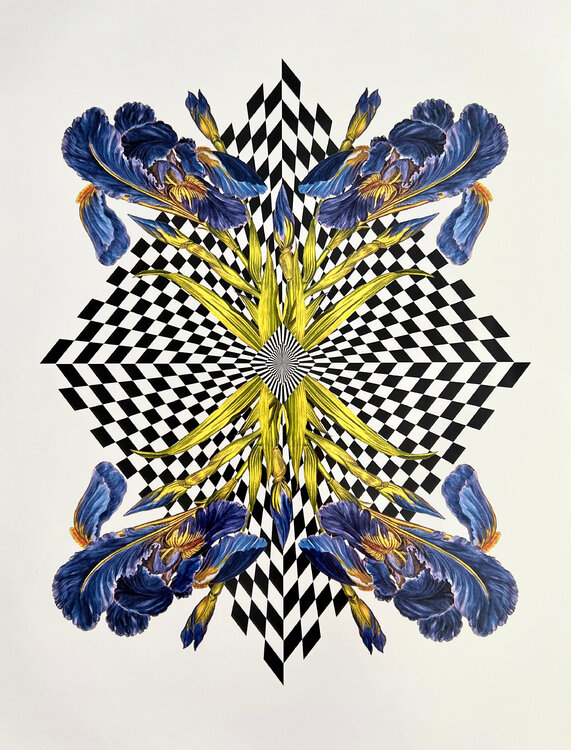 Diamond Iris Louise Marler