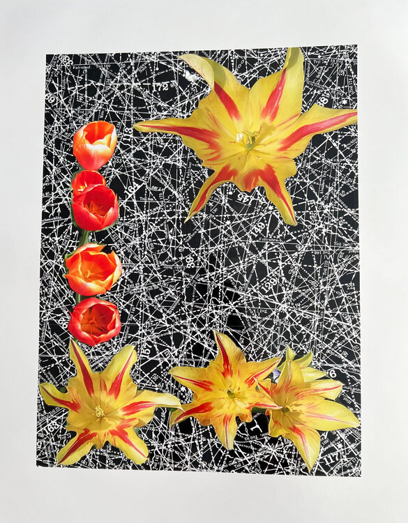 Aviation Garden Louise Marler