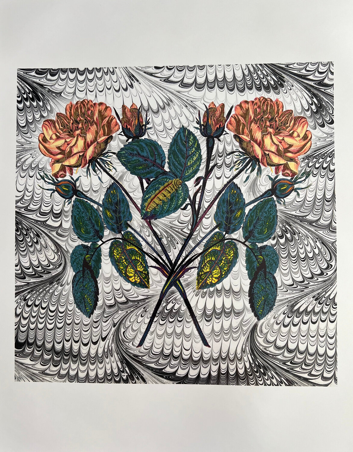 Crossed Roses Louise Marler