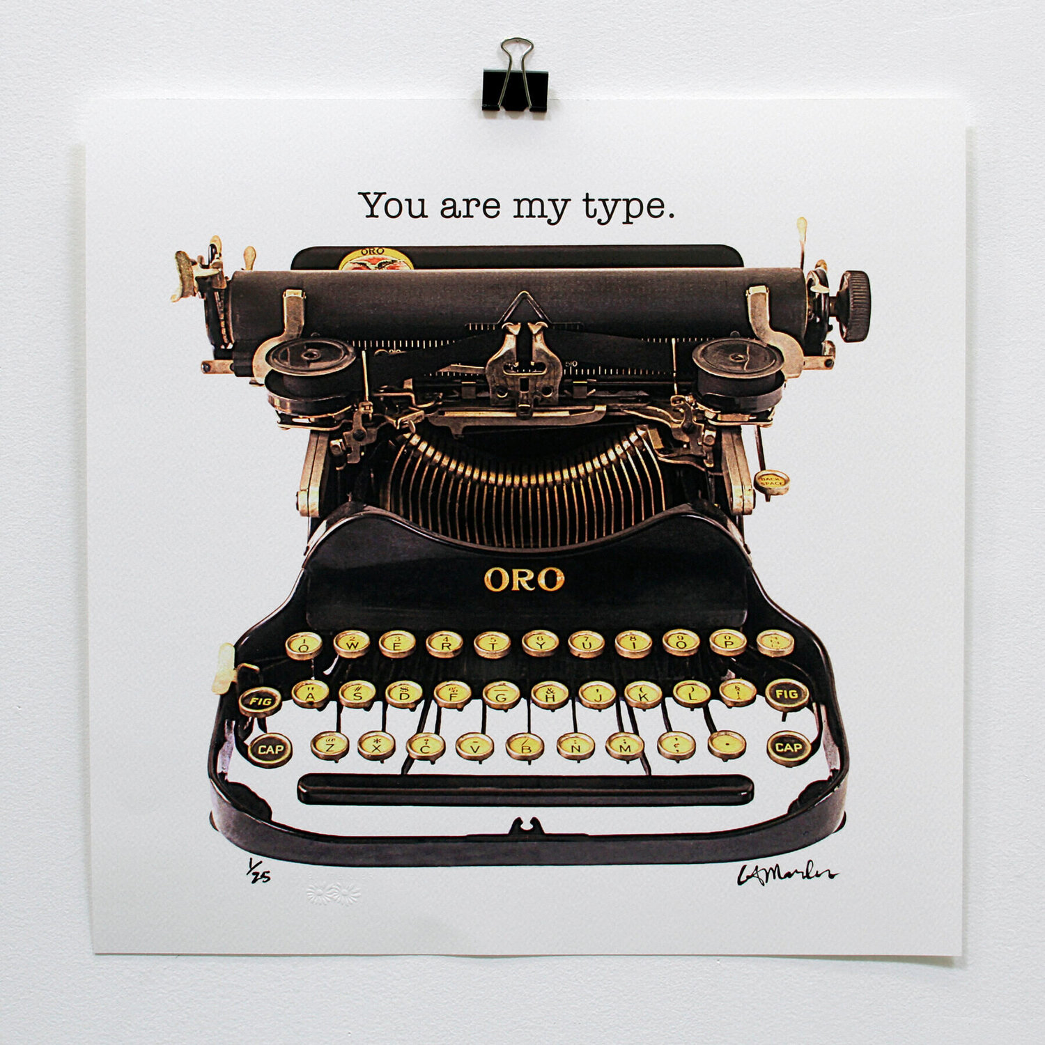 You Are My Type Louise Marler