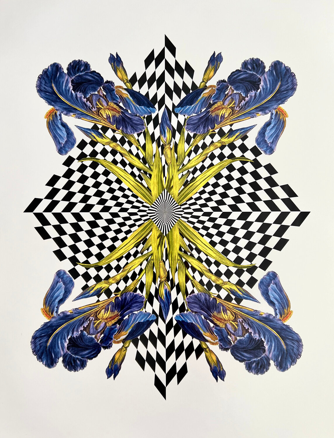 Diamond Iris Louise Marler