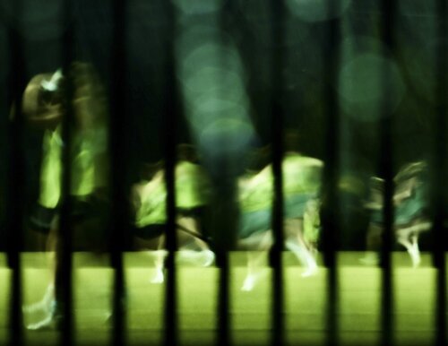 At Play in the Fields by Jeffrey Tamblyn, 사진 for Sale on Singulart