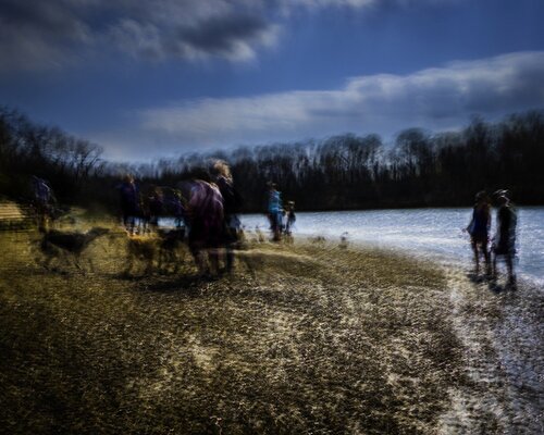 Dog Park Beach by Jeffrey Tamblyn, 사진 for Sale on Singulart