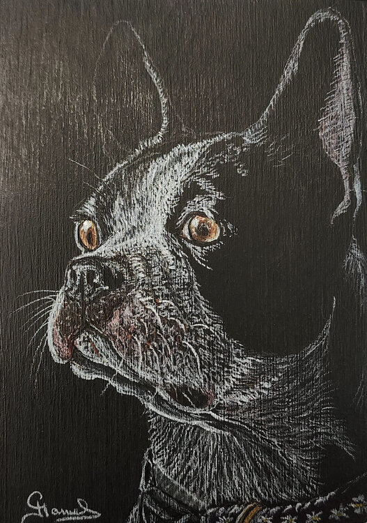 Frenchie Genevieve Hamel