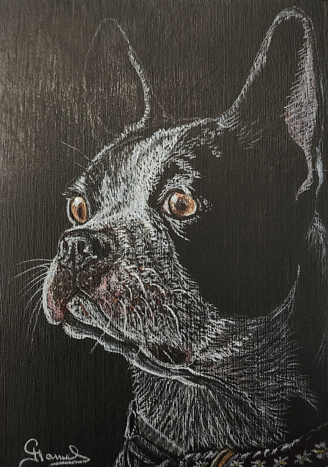 Frenchie Genevieve Hamel