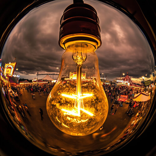 ILL 1408-08-161 von Lord Fauntleroy, Fotografie kaufen auf Singulart