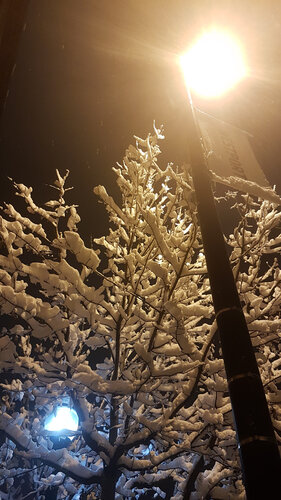Cool vs. Warm White (Snapshot, Street Photography, Snow)  von Lord Fauntleroy, Fotografie kaufen auf Singulart