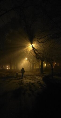 Foggy Evening Walk (Enchanted, Twilight, Mystic)  von Lord Fauntleroy, Fotografie kaufen auf Singulart