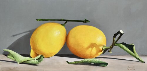 Limoni van Carmelo Margarone, Schilderij te koop op Singulart