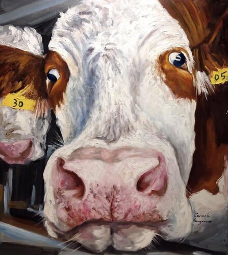 Mucca 30 - 05 di Carmelo Margarone, Pittura in vendita su Singulart