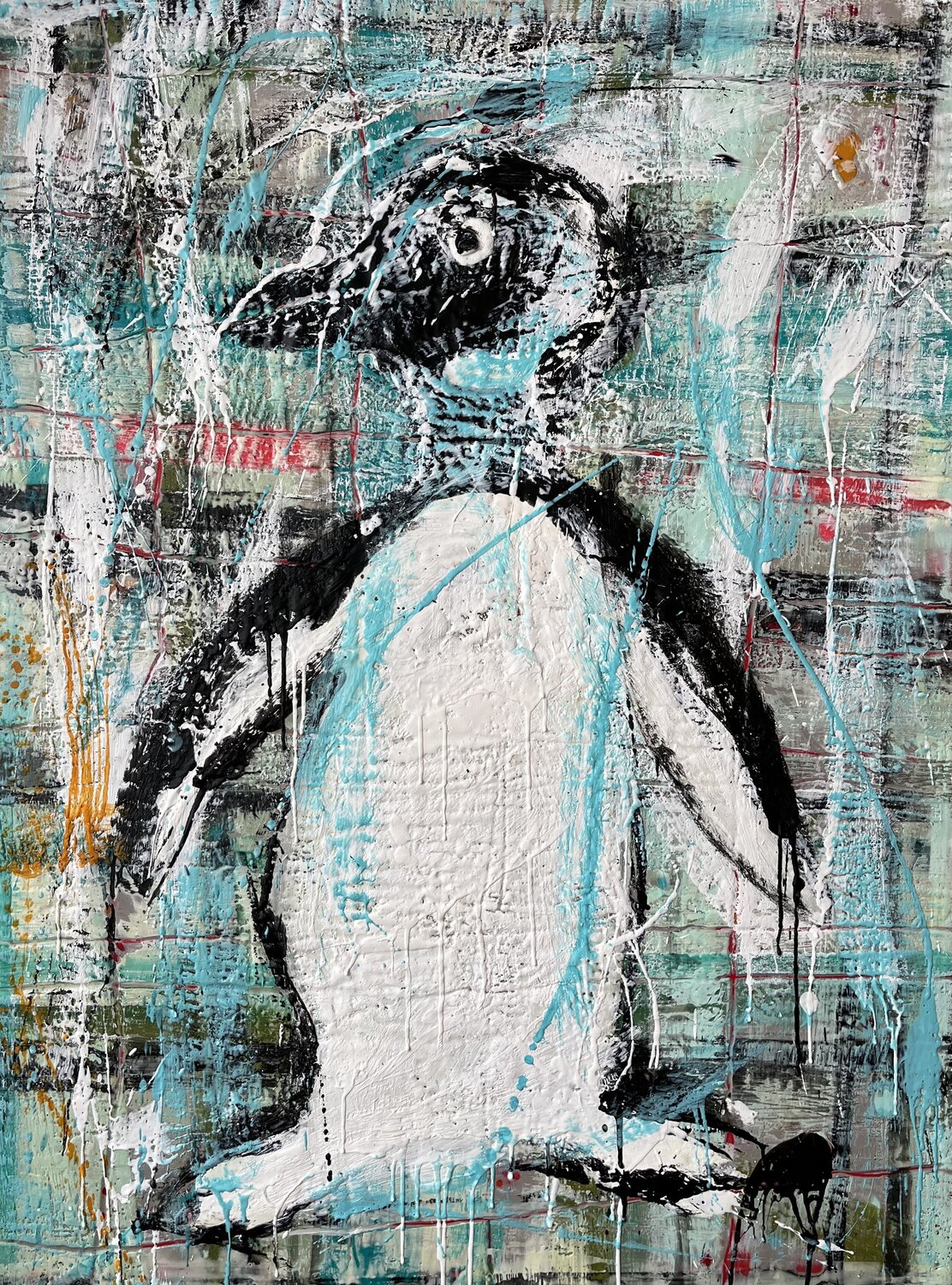 South Argentina penguin Marie-Danielle Leblanc
