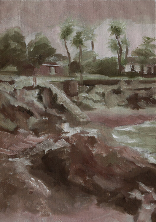 On the Rocks in La Jolla Cove Barbara Skiba-Poniatowski