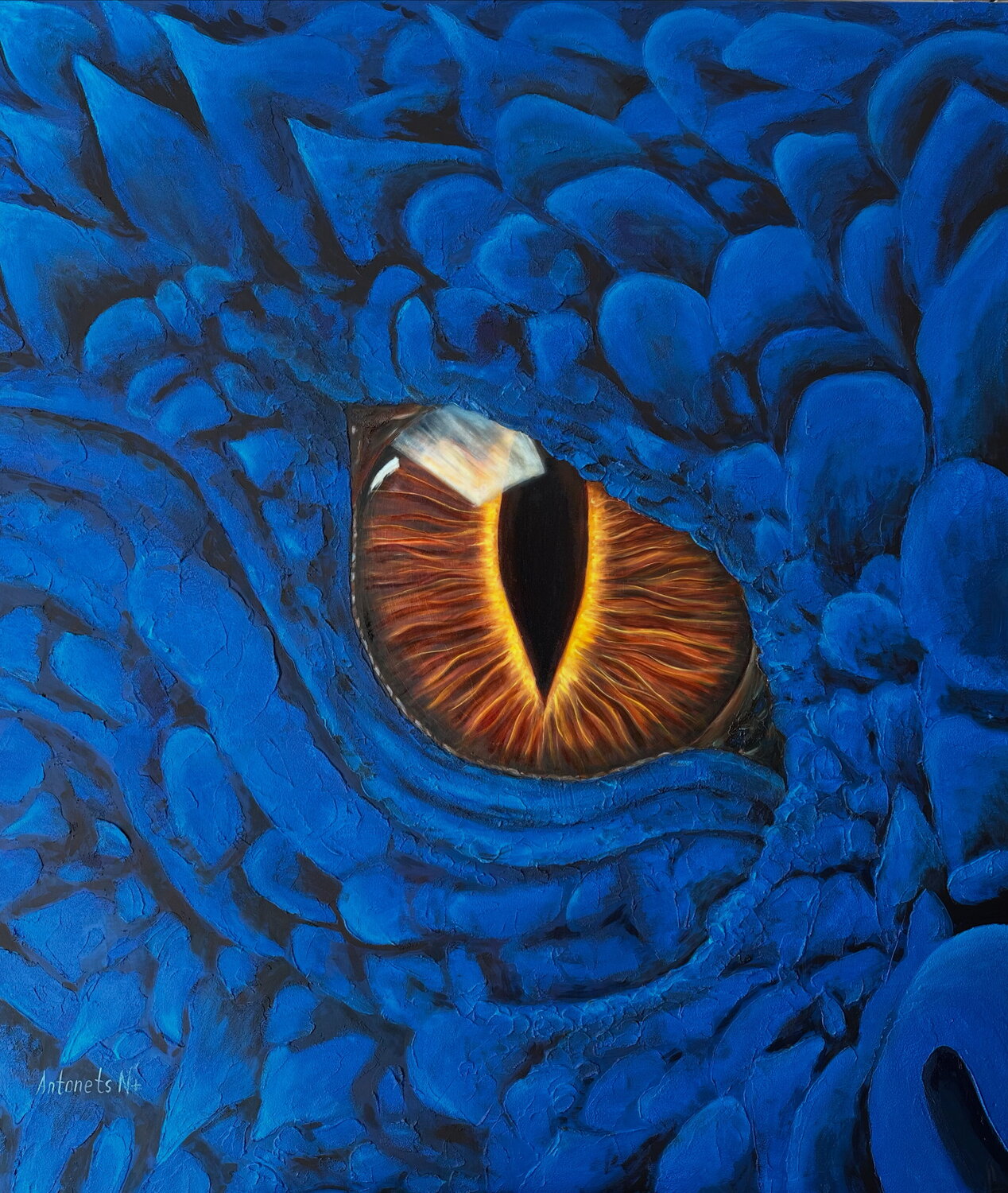 The Dragon's Gaze Nataliia Antonets