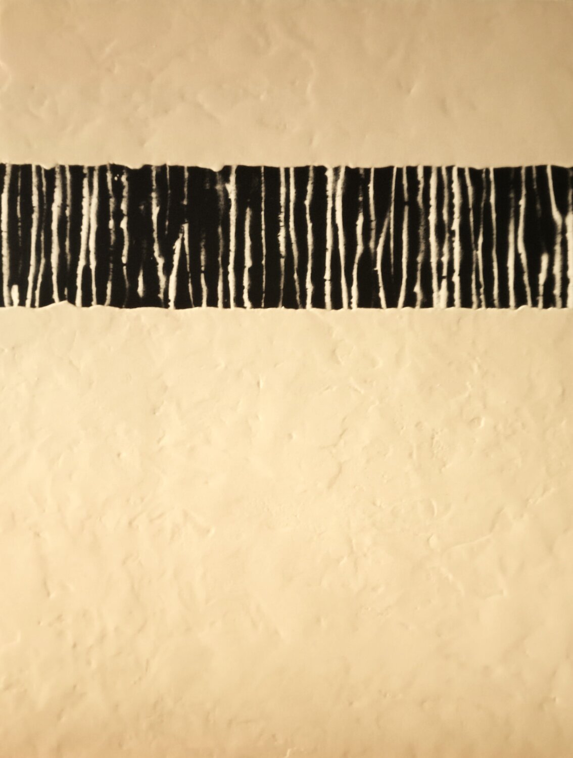 Sunshine 3105 Diego Arribas