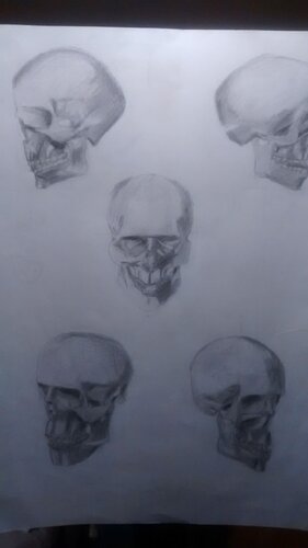 Skull. von Julia Zabrocka, Zeichnungen kaufen auf Singulart