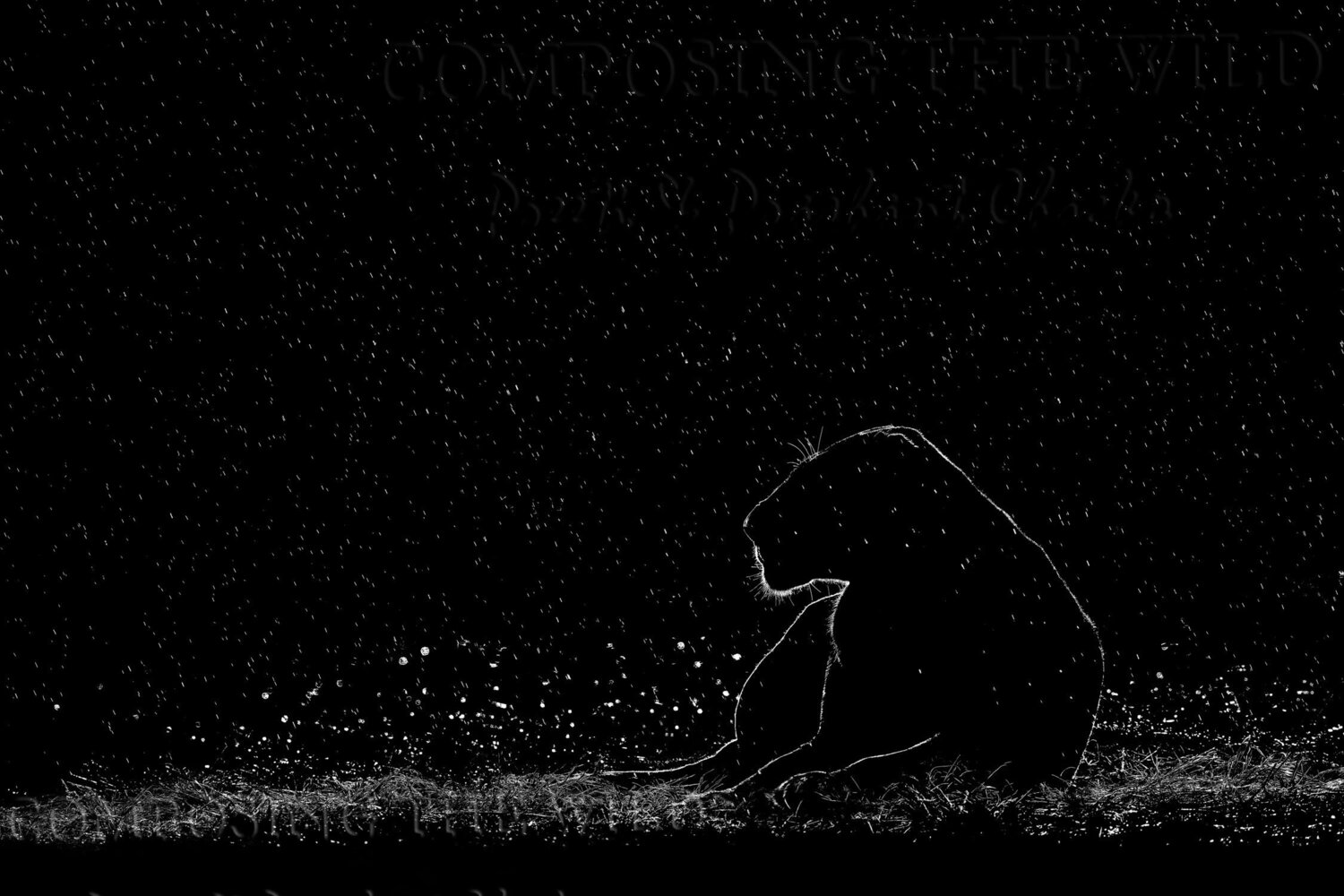 Fortitude (M) Composing the Wild