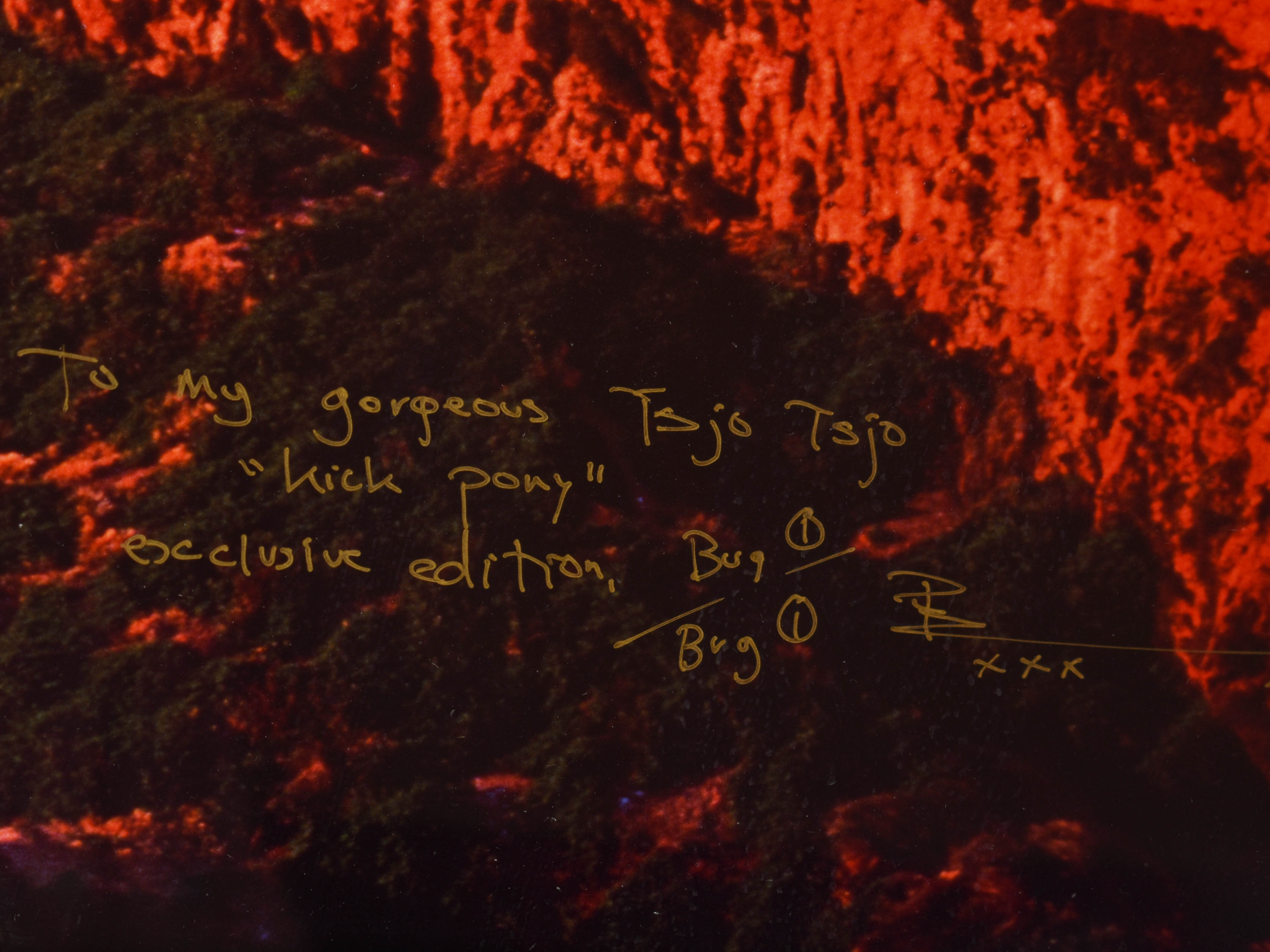 ピーターリック Peter Lik 『endless dreams』 Peter Likの作品をSINGULARTで販売中