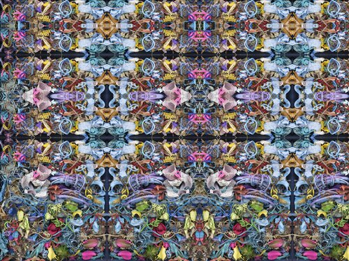 Cosmotrovert von Stephen Calhoun, Fotografie kaufen auf Singulart