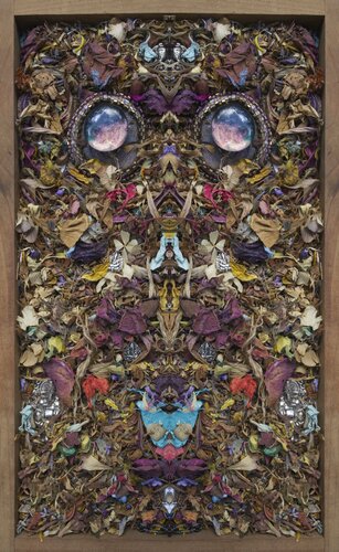 Floor Sage v2 von Stephen Calhoun, Fotografie kaufen auf Singulart