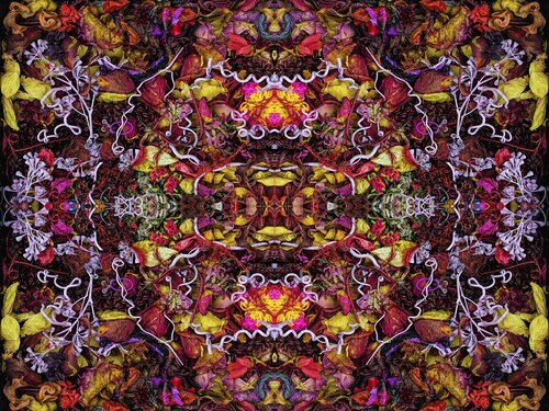 New Head Trip van Stephen Calhoun, Fotografie te koop op Singulart