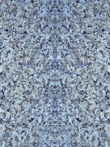 Soft Blue Commotion von Stephen Calhoun, Fotografie kaufen auf Singulart