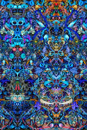 Two For the Dance Floor von Stephen Calhoun, Fotografie kaufen auf Singulart