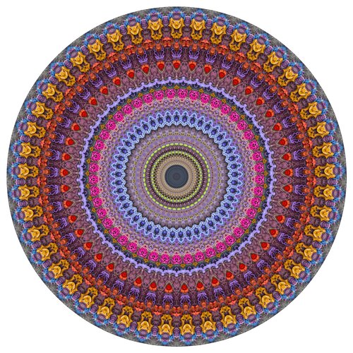 Wild Ride I. von Stephen Calhoun, Fotografie kaufen auf Singulart