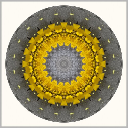 Concentrator von Stephen Calhoun, Fotografie kaufen auf Singulart