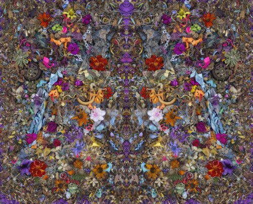 Playful majesty von Stephen Calhoun, Fotografie kaufen auf Singulart