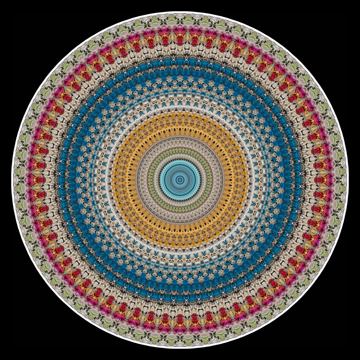 Maestro Unity Stephen Calhoun