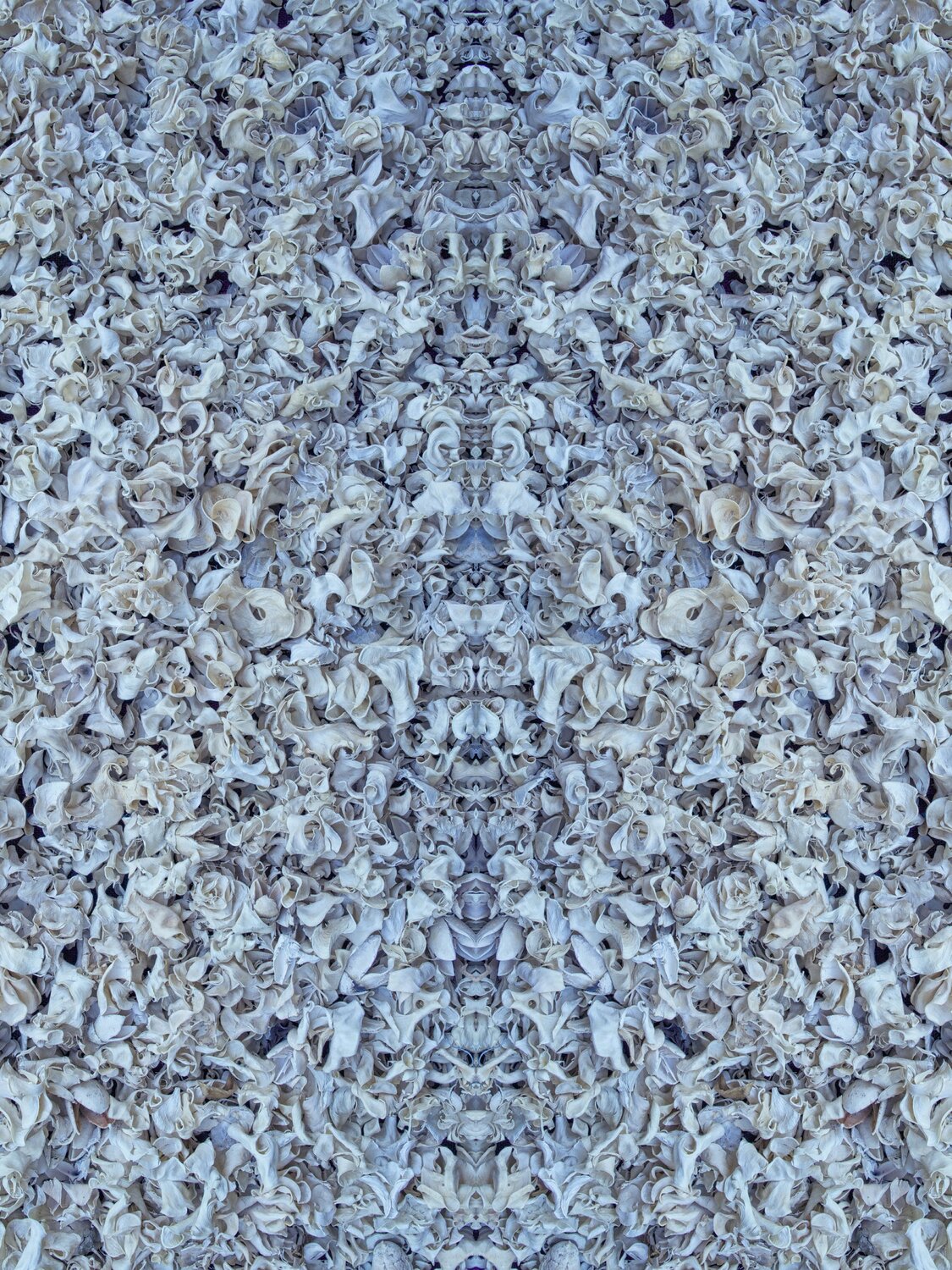 Soft Blue Commotion Stephen Calhoun