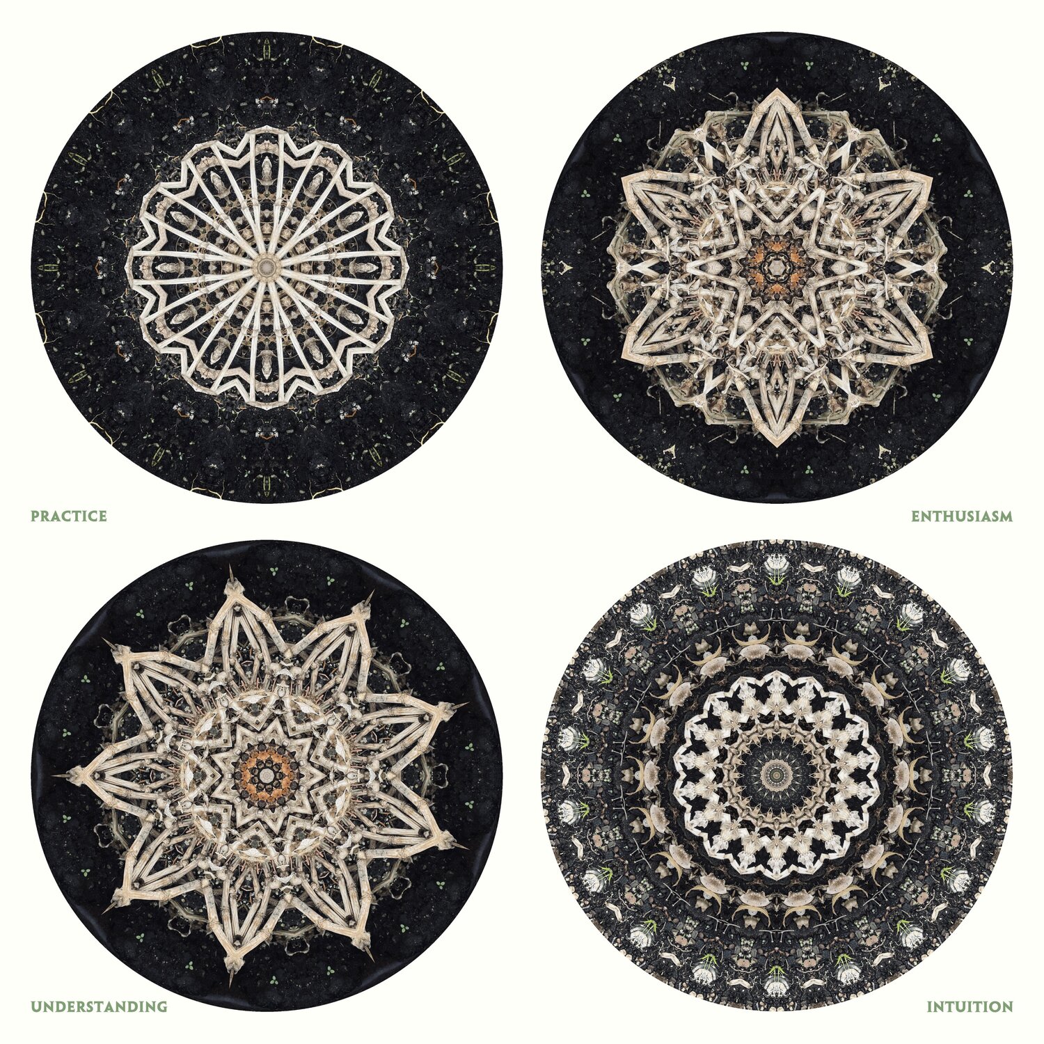 Four Moments of Awakening Stephen Calhoun
