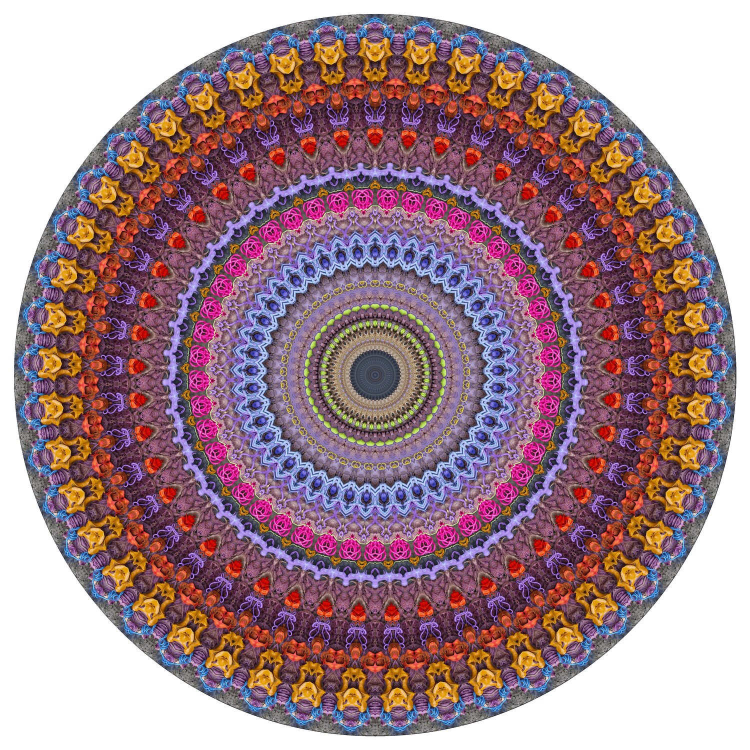 Wild Ride I. Stephen Calhoun