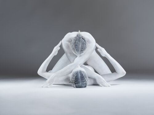 white symmetry von Markus R. Landl, Fotografie kaufen auf Singulart