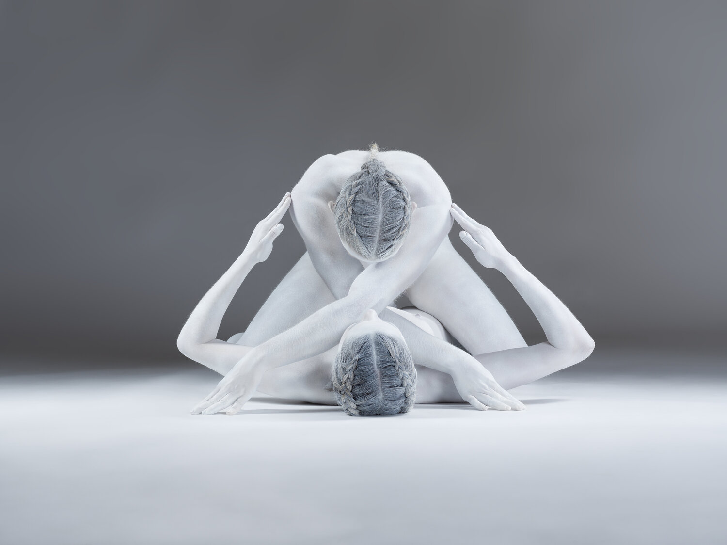 white symmetry Markus R. Landl