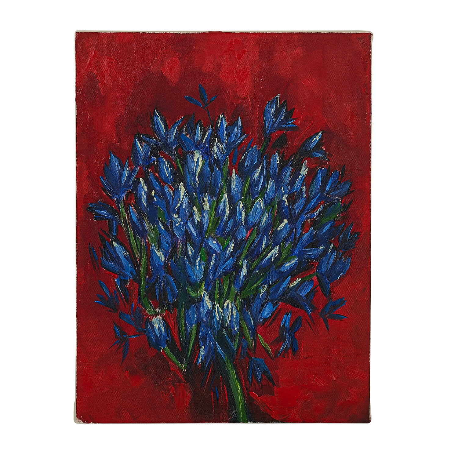 Agapanthus on red Elena Baltser