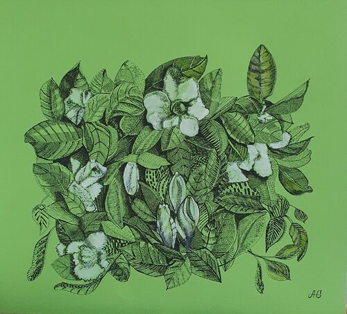 Gardenia. von Galyna Antonenko, Zeichnungen kaufen auf Singulart