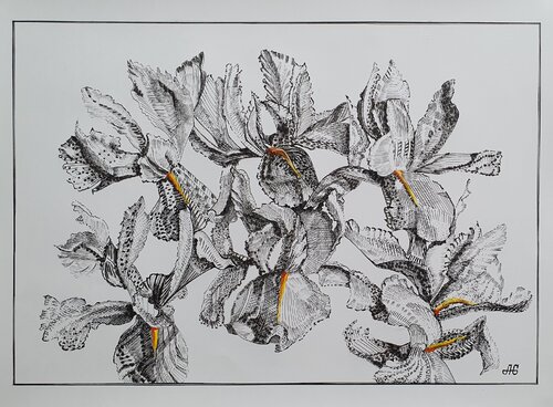 Seven Irises. by Galyna Antonenko, 소묘 for Sale on Singulart