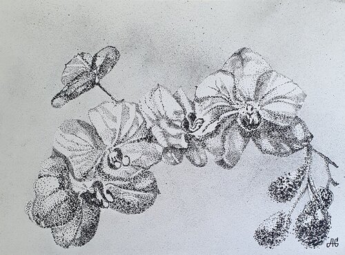 Constellation of the White Orchid. by Galyna Antonenko, Work on Paper for Sale on Singulart