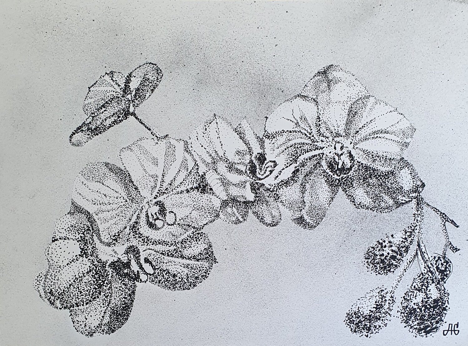Constellation of the White Orchid. Galyna Antonenko Work on Paper for sale