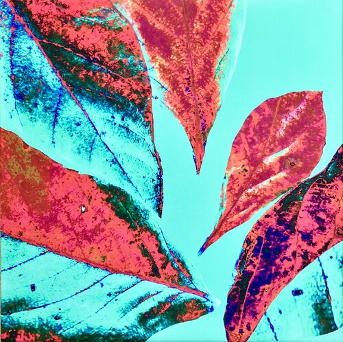 Red and turquoise leaves von Enikő Bukovinszki, Digital kaufen auf Singulart