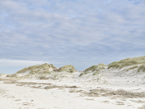 st. peter ording düne I by Merten Riesner, 사진 for Sale on Singulart