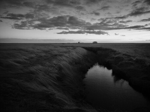 träumen by Merten Riesner, 사진 for Sale on Singulart