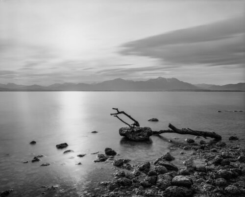 reflection by Merten Riesner, 사진 for Sale on Singulart