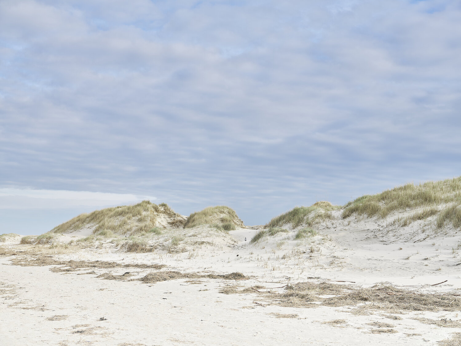 st. peter ording düne I Merten Riesner