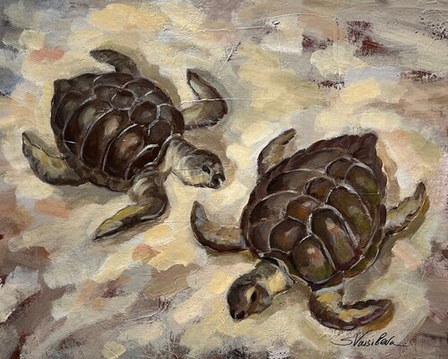 Sea Turtles de Silvia Vassileva, Pintura a la venta en Singulart